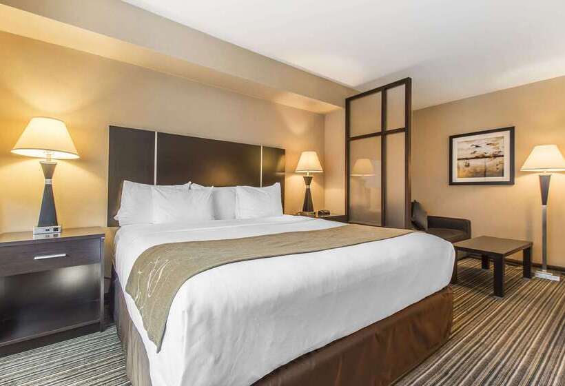 هتل Comfort Suites Downtown