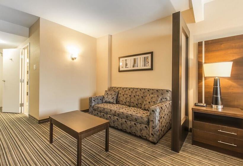 هتل Comfort Suites Downtown