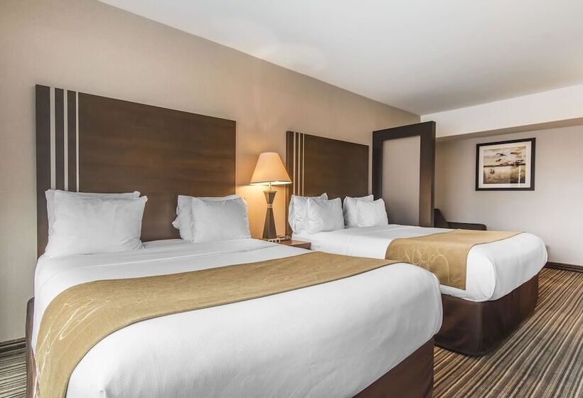 هتل Comfort Suites Downtown