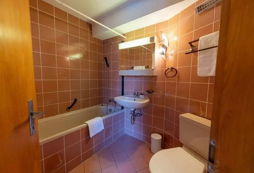 בית מלון כפרי Eden Resort Anzere