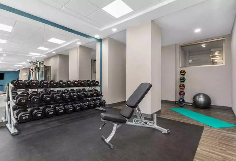 Hotel Hampton Inn & Suites By Hilton Toronto Downtown