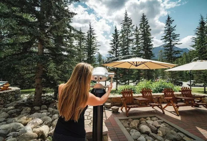 호텔 Lake Louise Inn