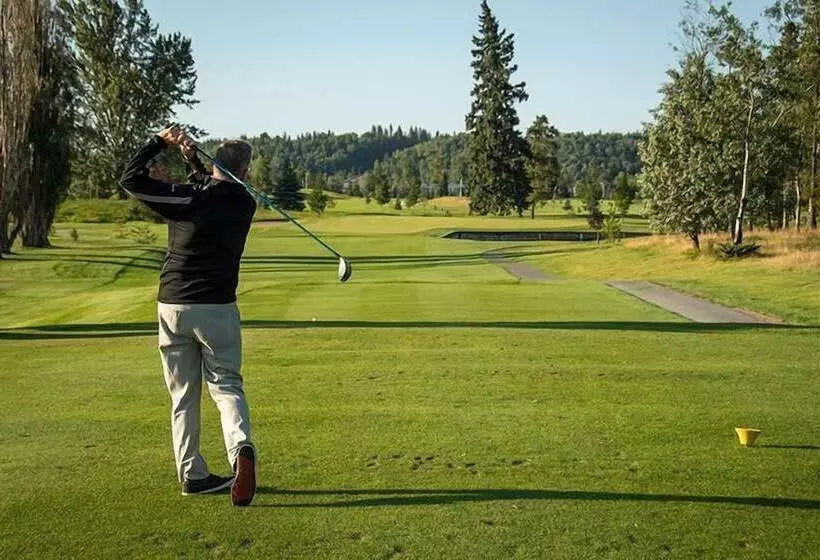 酒店 North Star Inn & Suites