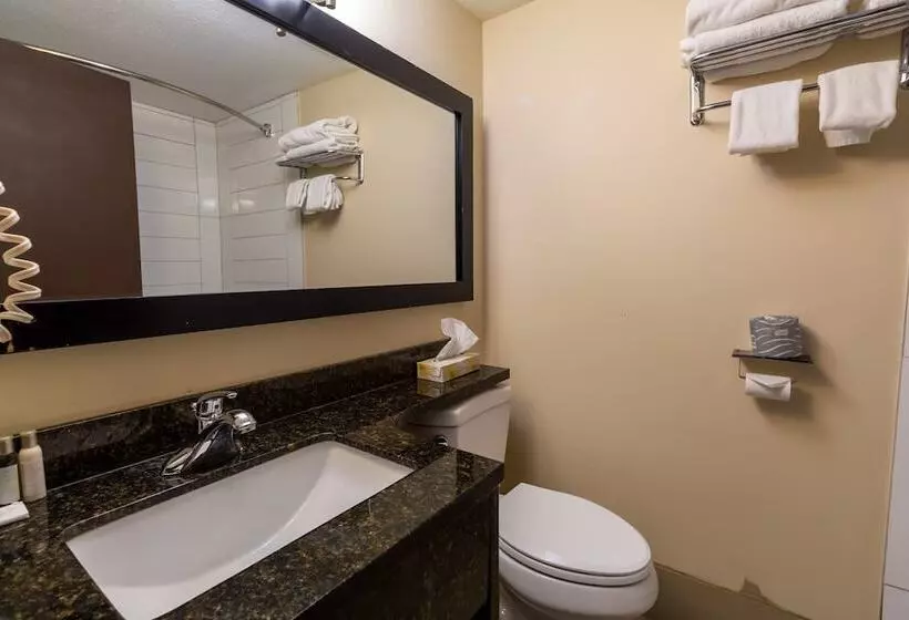 酒店 North Star Inn & Suites