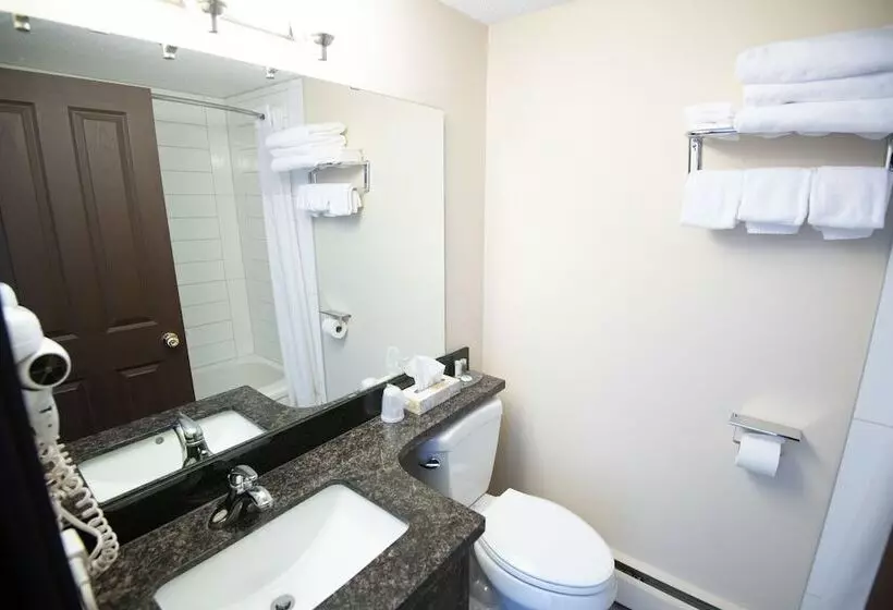 酒店 North Star Inn & Suites