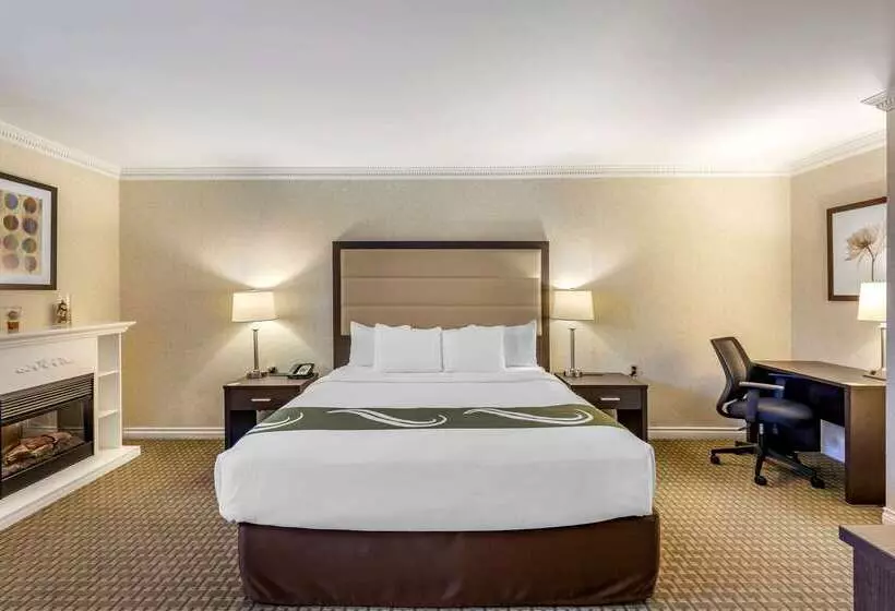 酒店 Quality Inn Airport West