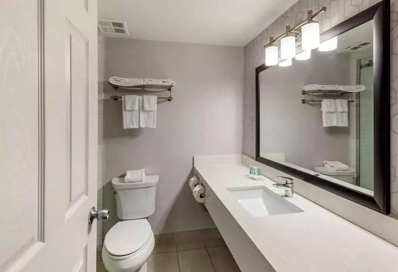 酒店 Quality Inn Airport West