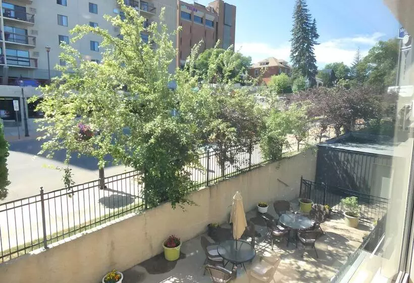 فندق The Medicine Hat Villa