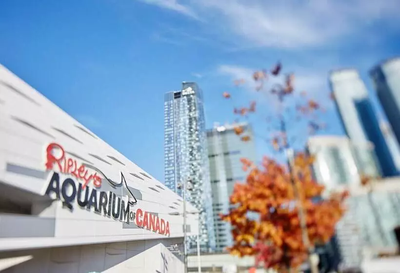 Hotel The Westin Harbour Castle, Toronto