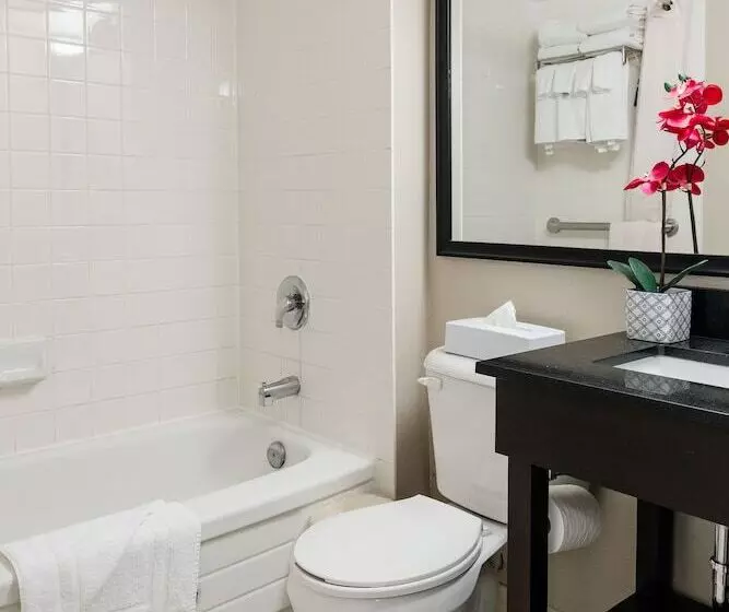 酒店 Travelodge By Wyndham Ottawa East