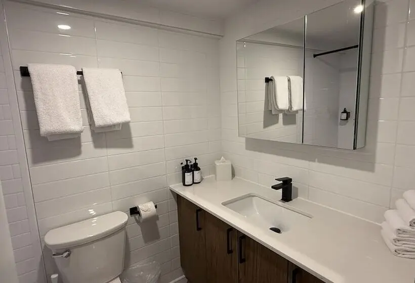 The Arlo Hotel, BW Signature Collection - Ottawa