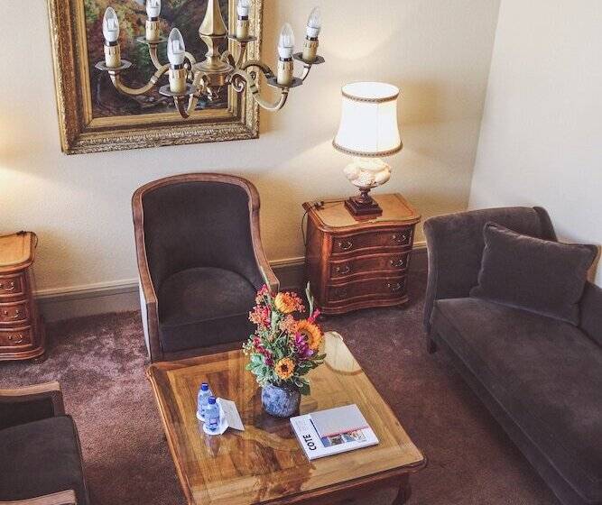 هتل De La Cigogne