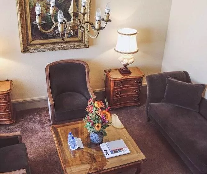 酒店 De La Cigogne