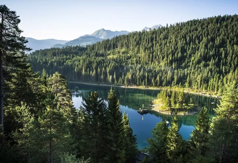 Отель Des Alpes