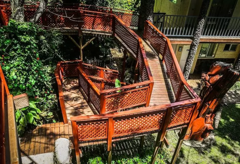 هتل Easter Island Ecolodge