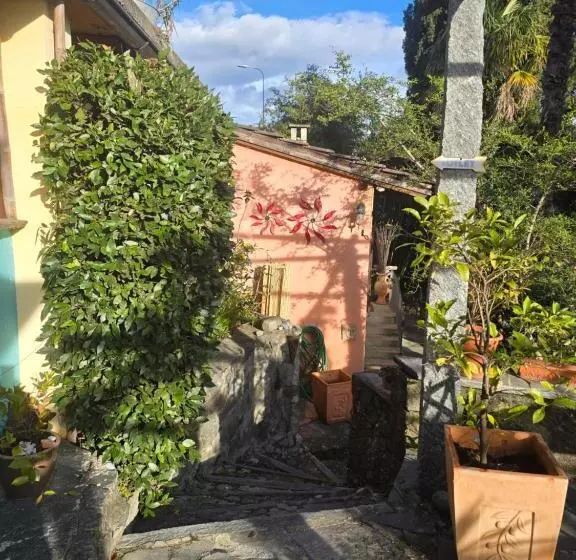 酒店 Pensione Olanda