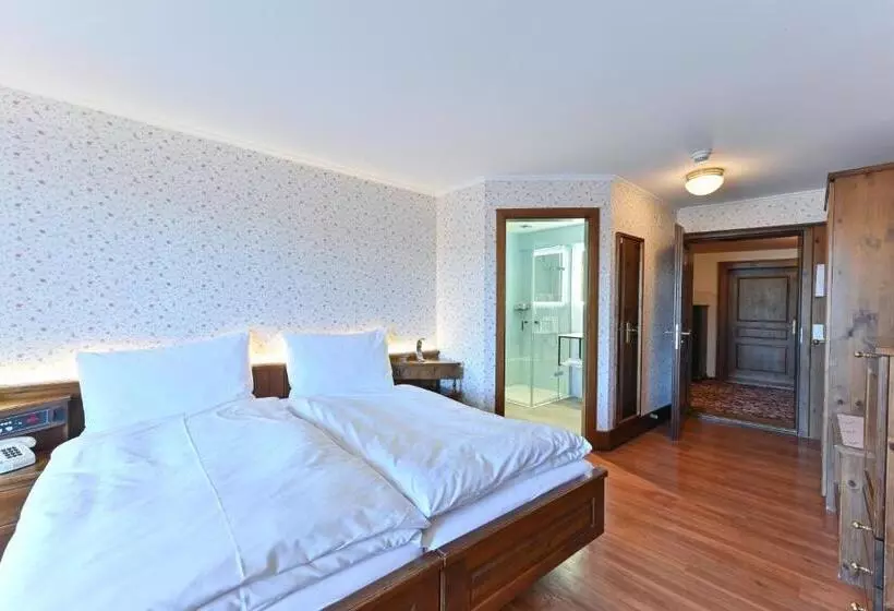 בית מלון כפרי Rheinfels