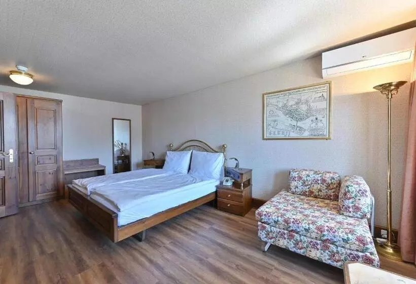 בית מלון כפרי Rheinfels