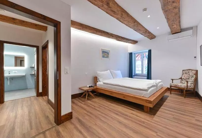 בית מלון כפרי Rheinfels