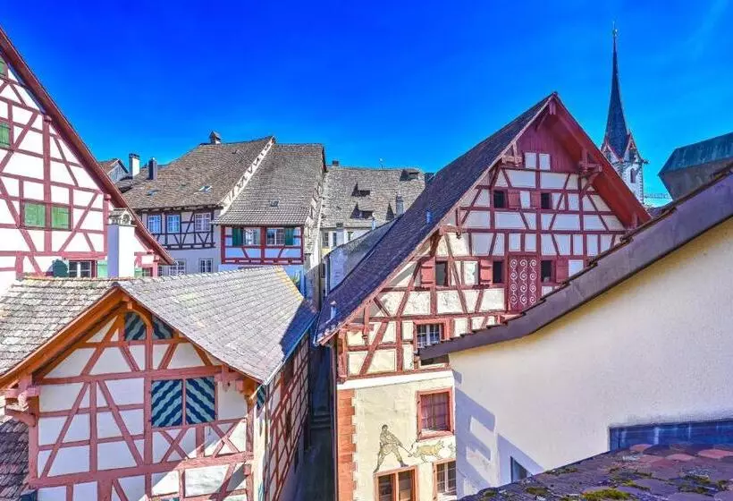 בית מלון כפרי Rheinfels