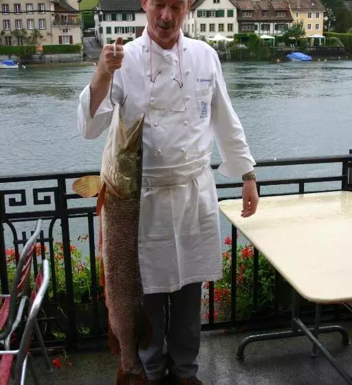 בית מלון כפרי Rheinfels