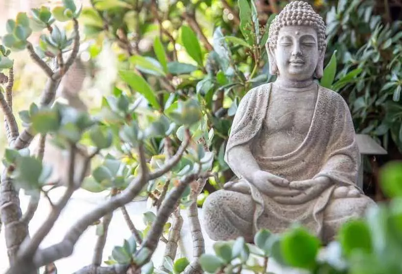 Smart Hotel Minusio, A Benvenuti