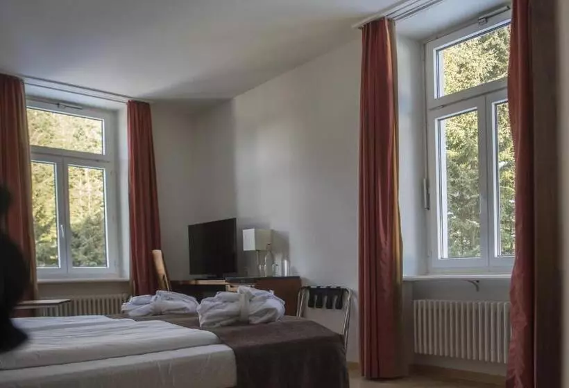 Waldhotel & Spa Davos   For Body & Soul