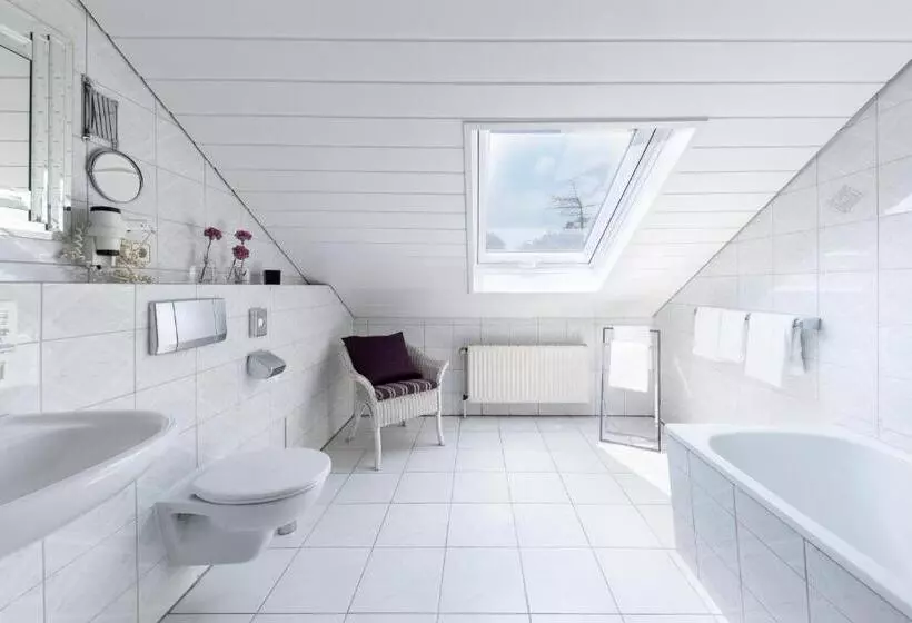 בית מלון כפרי Alte Post