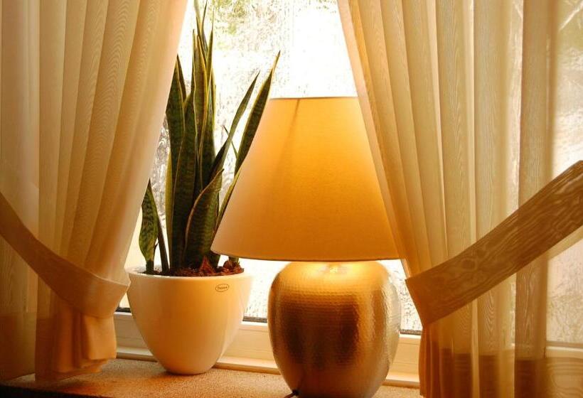 בית מלון כפרי Dom