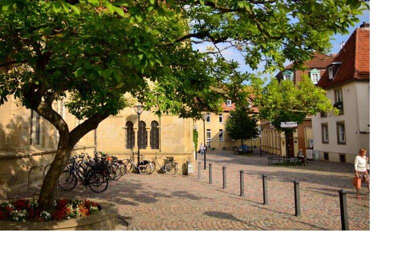 בית מלון כפרי Dom