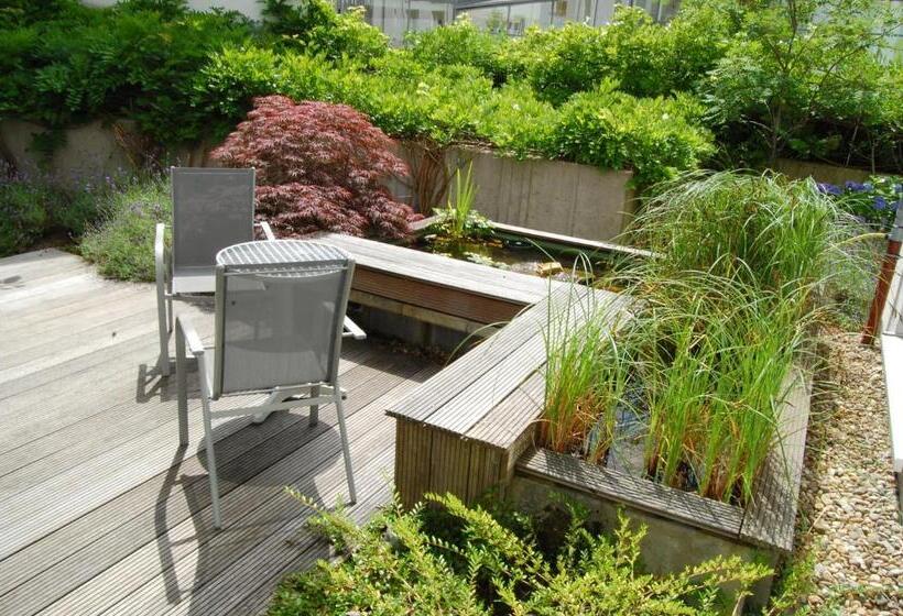 בית מלון כפרי Dom