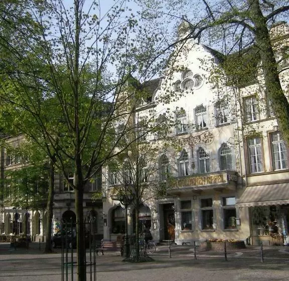 酒店 Goldener Apfel