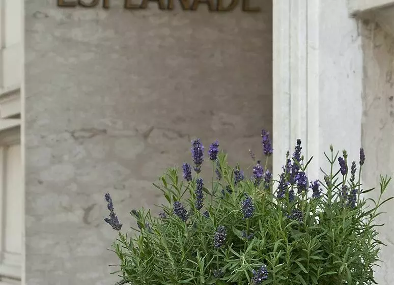 فندق Villa Esplanade