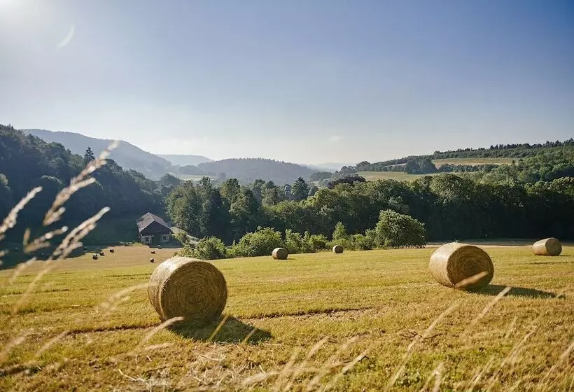 בית מלון כפרי Hohenhaus