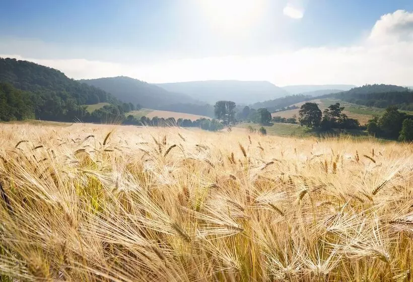 בית מלון כפרי Hohenhaus