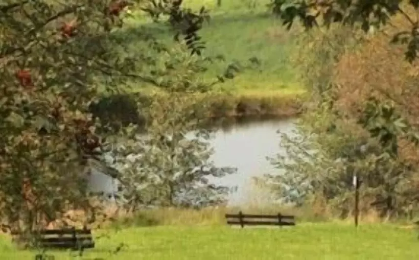 ホテル Burg Waldau