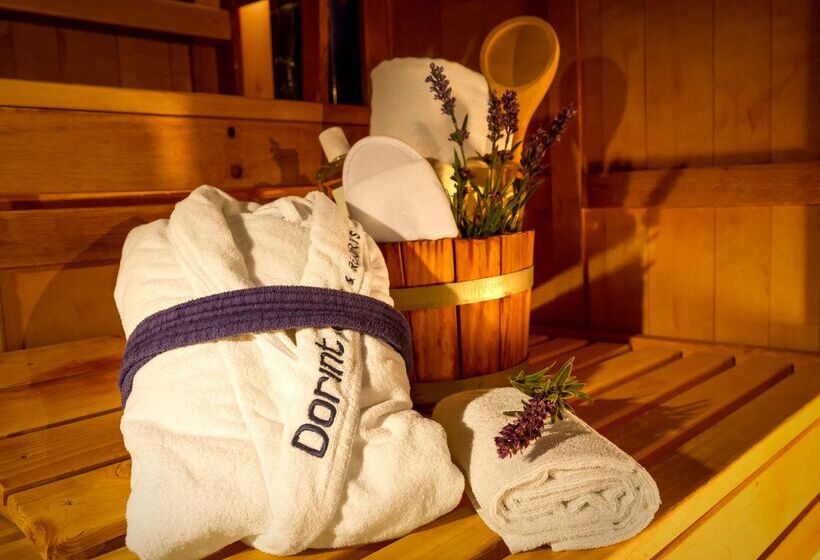 Отель Dorint Resort Winterberg