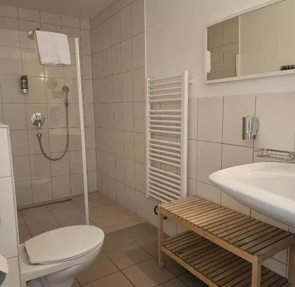 Отель Rheinstein