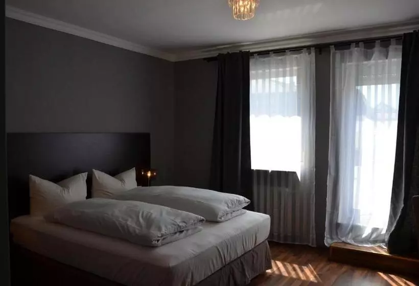 Отель Rheinstein