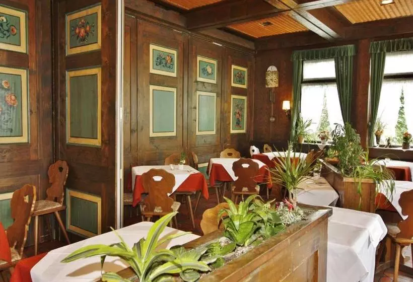 Schwarzwaldgasthof Hotel Schwanen