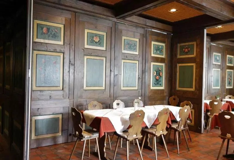 Schwarzwaldgasthof Hotel Schwanen