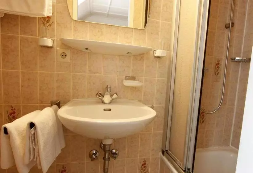 Schwarzwaldgasthof Hotel Schwanen