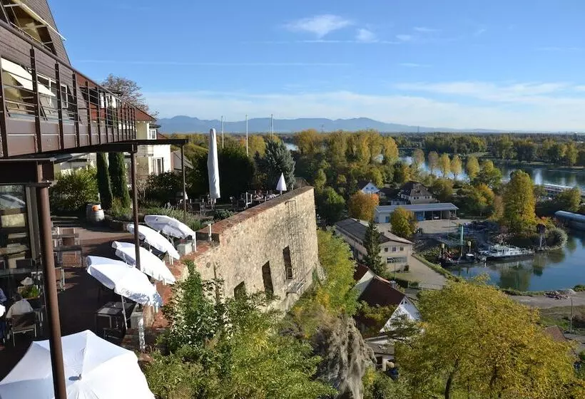 בית מלון כפרי Stadt Breisach