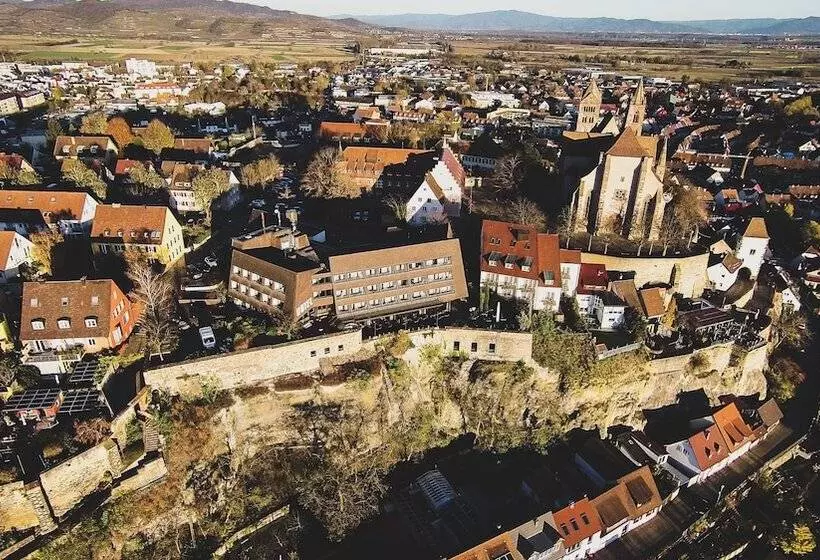 בית מלון כפרי Stadt Breisach