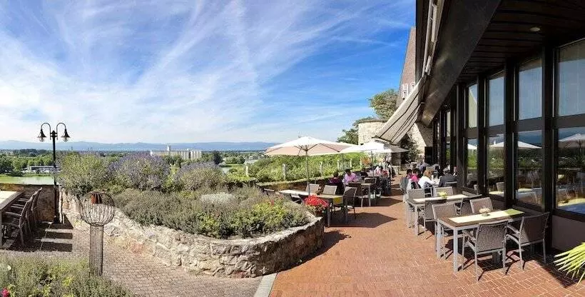 בית מלון כפרי Stadt Breisach