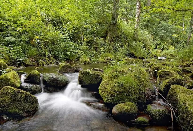 호텔 Traube Tonbach