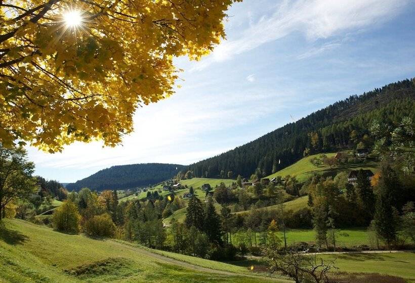 Hotel Traube Tonbach