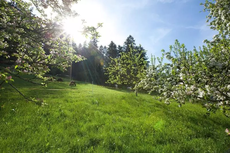 호텔 Traube Tonbach