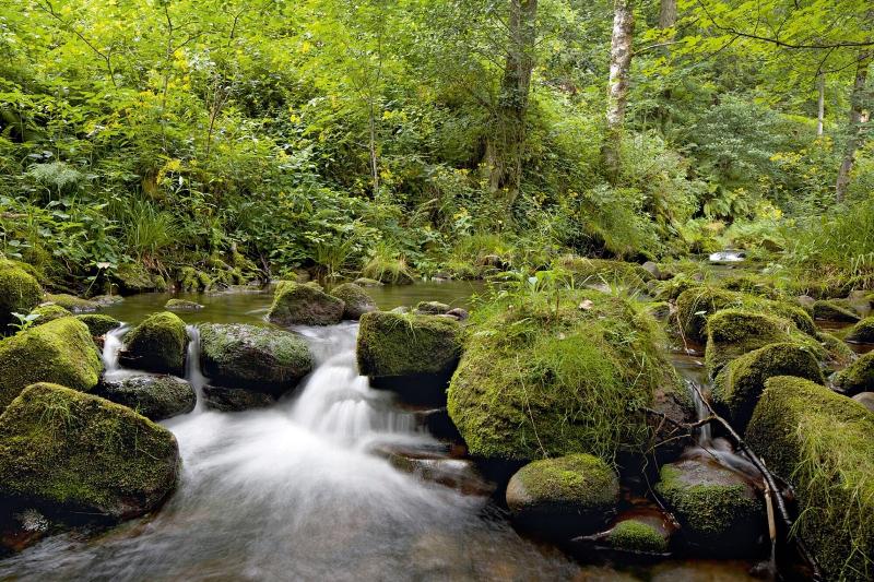 Hotel Traube Tonbach