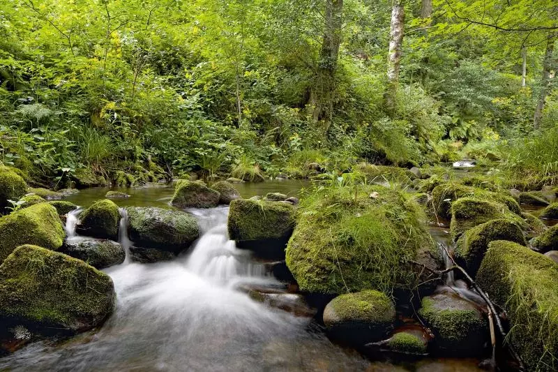 호텔 Traube Tonbach